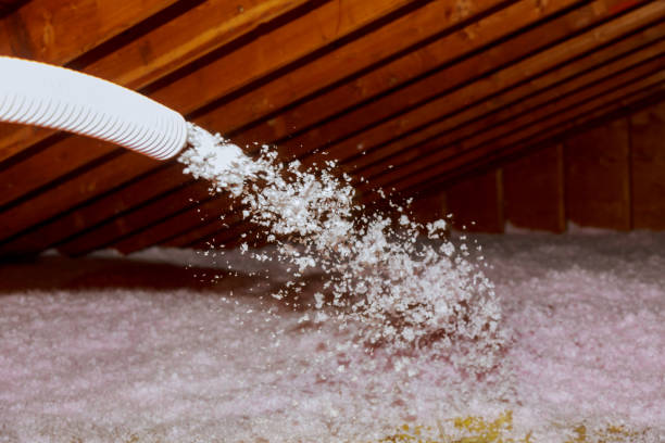 Best Specialized Insulation Services in Odon, IN