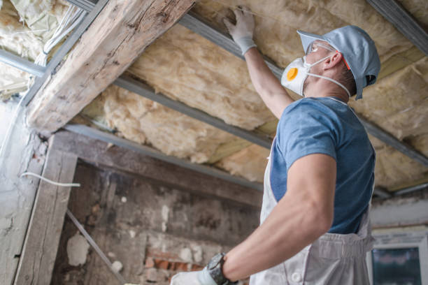 Best Insulation for Specific Applications in Odon, IN