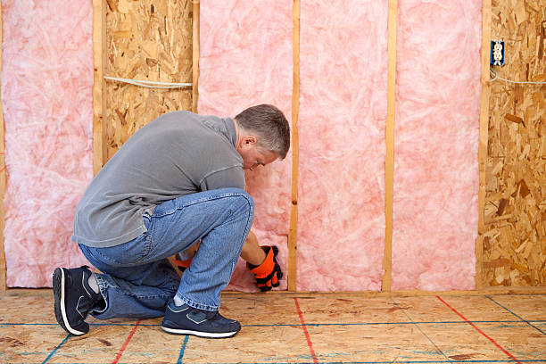 Best DIY Insulation Kits and Guidance in Odon, IN